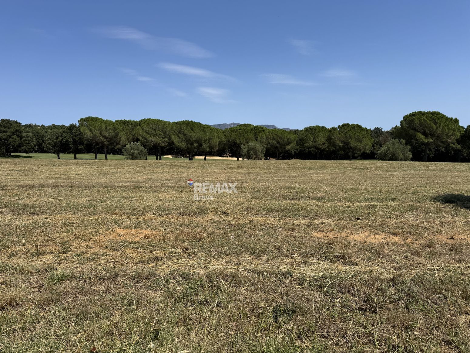 Fincas y solares-Venta-Llers-2412263-Foto-13