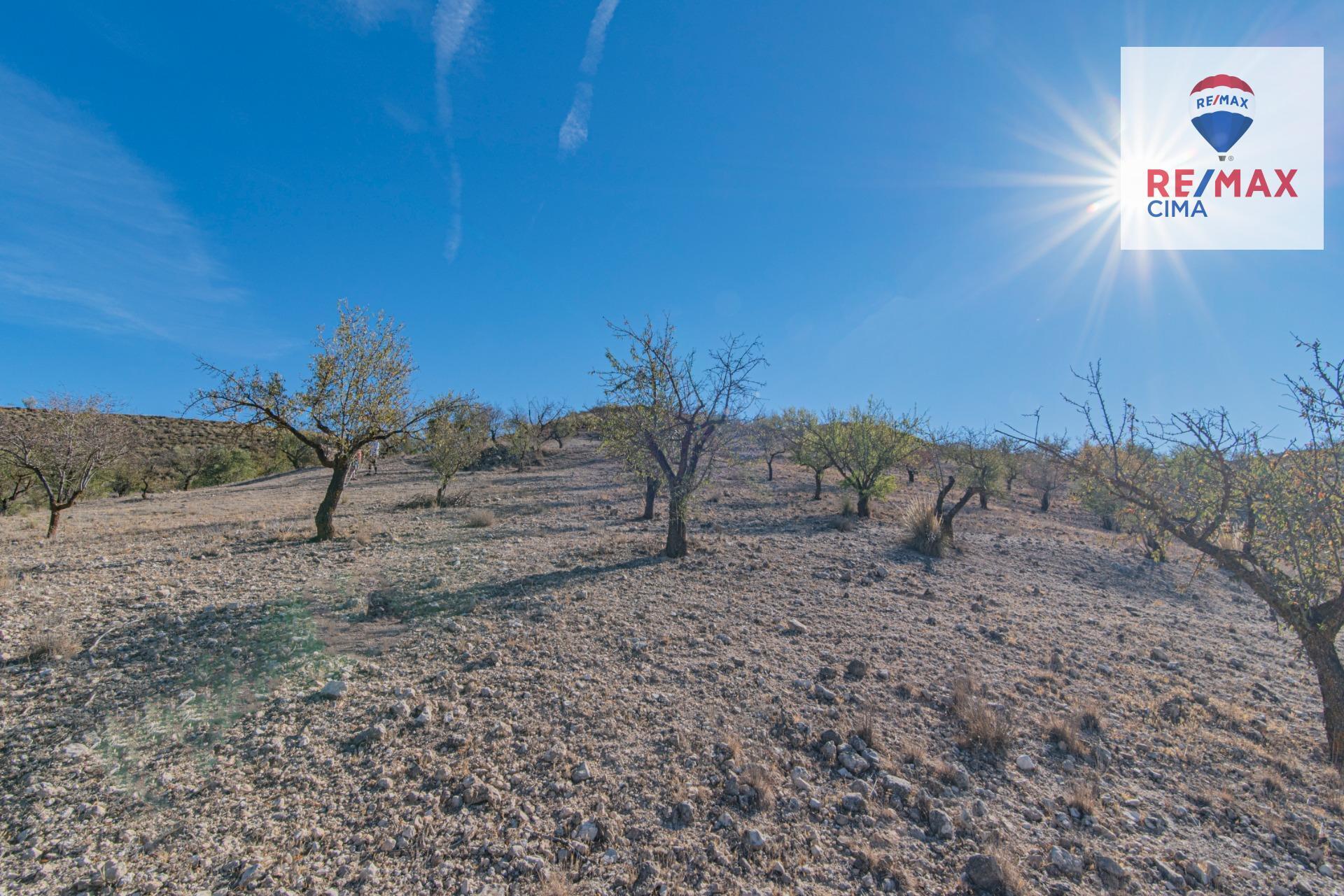 Fincas y solares-Venta-Alhama de Granada-1077985
