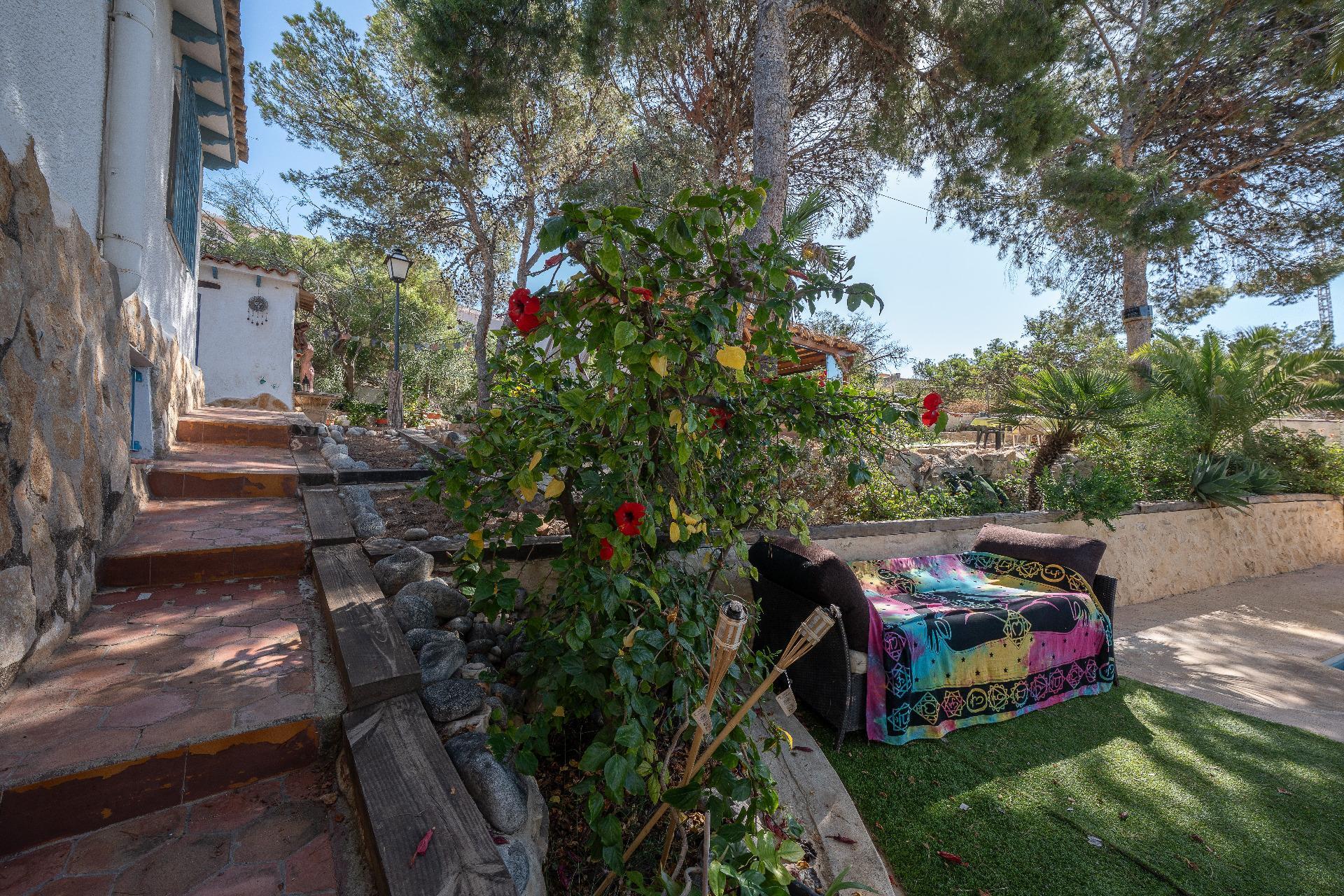 Casas o chalets-Venta-Campello el-2412209-Foto-52
