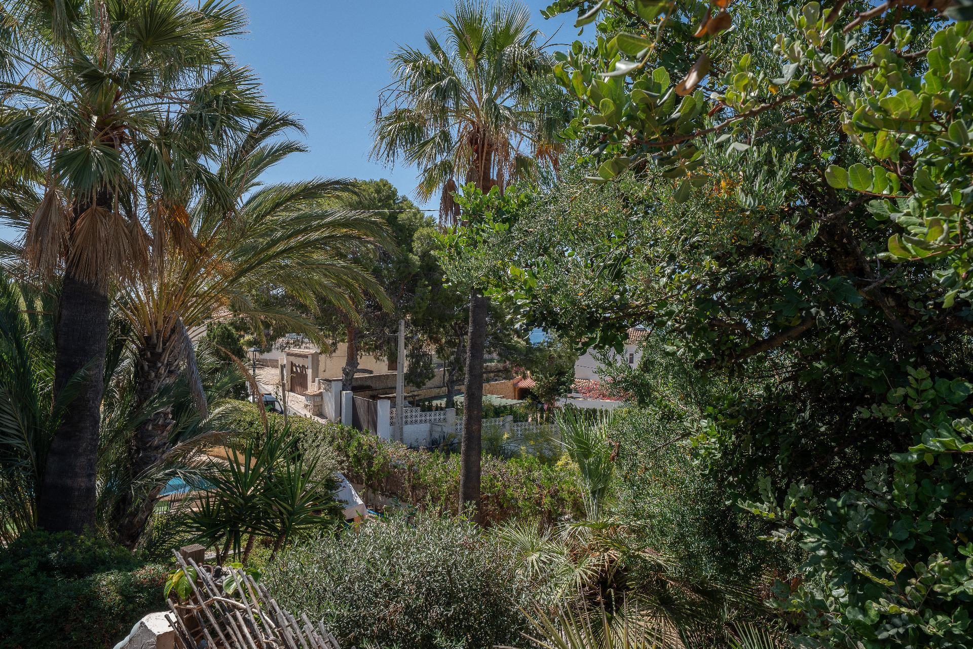 Casas o chalets-Venta-Campello el-2412209-Foto-53