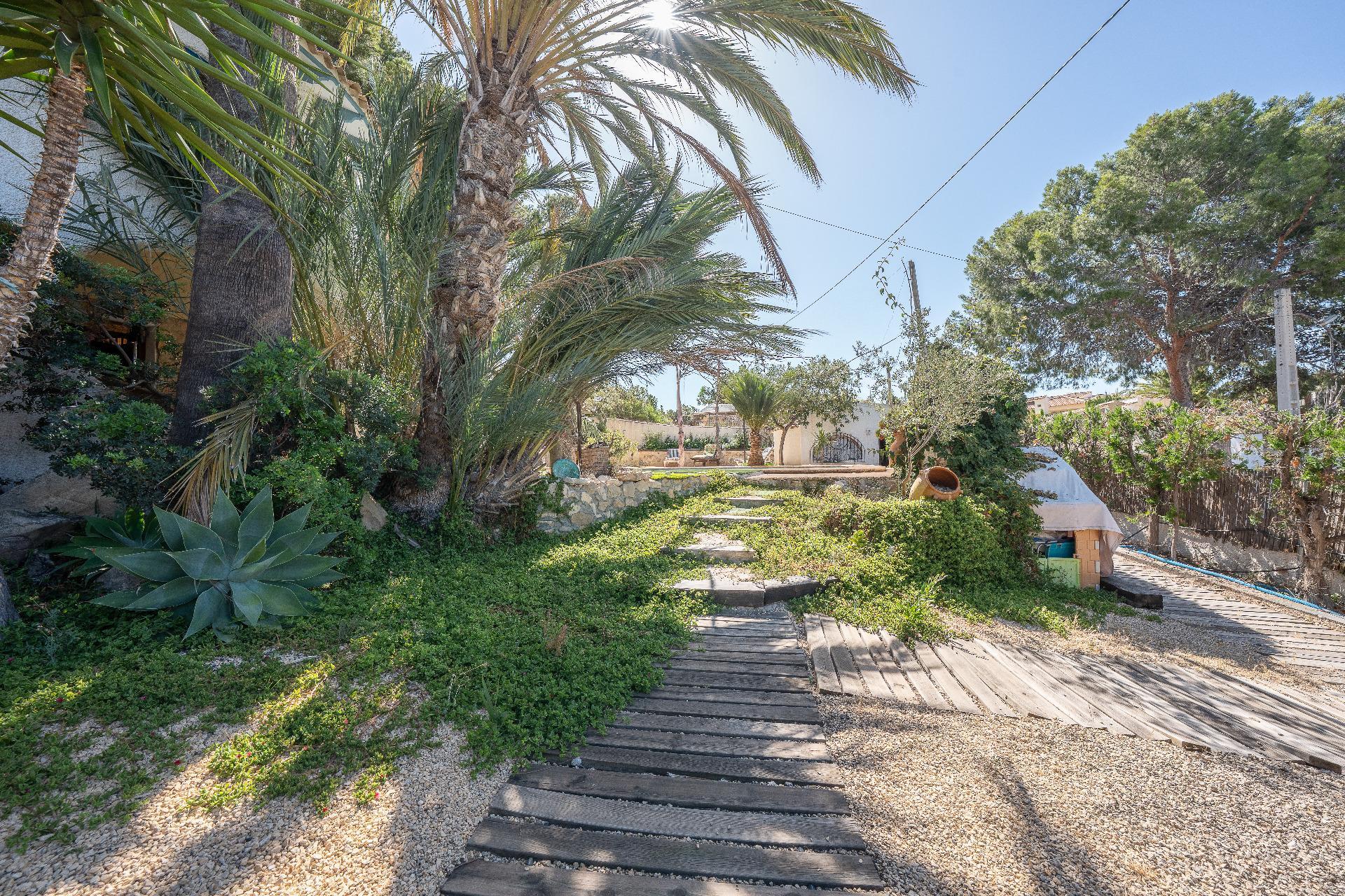 Casas o chalets-Venta-Campello el-2412209-Foto-55