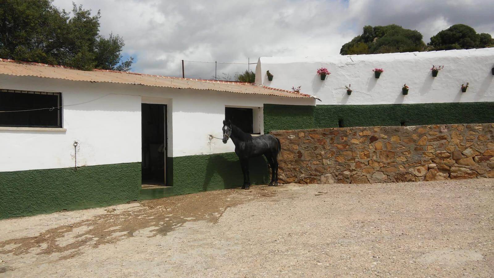 Fincas y solares-Venta-Ardales-2210561-Foto-6