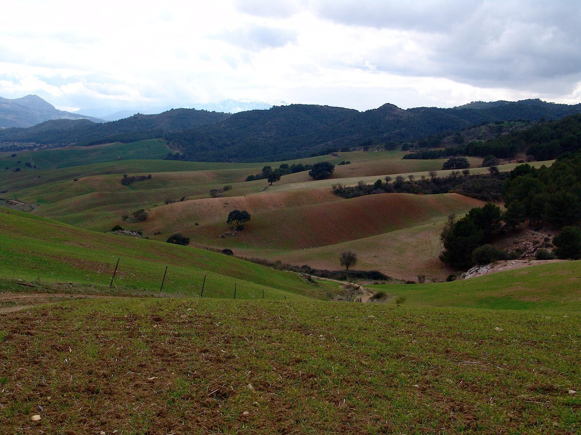 Fincas y solares-Venta-Ardales-2210561-Foto-22
