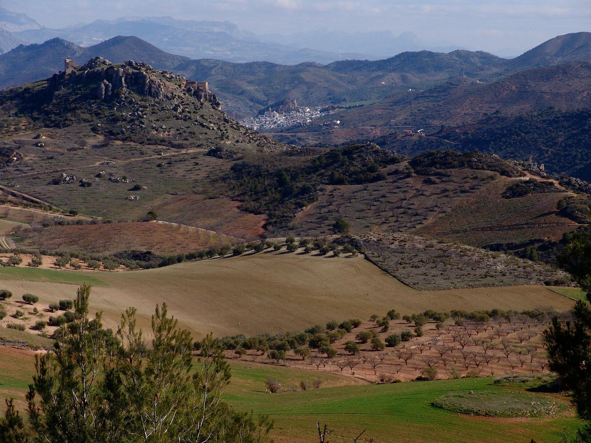 Fincas y solares-Venta-Ardales-2210561-Foto-20