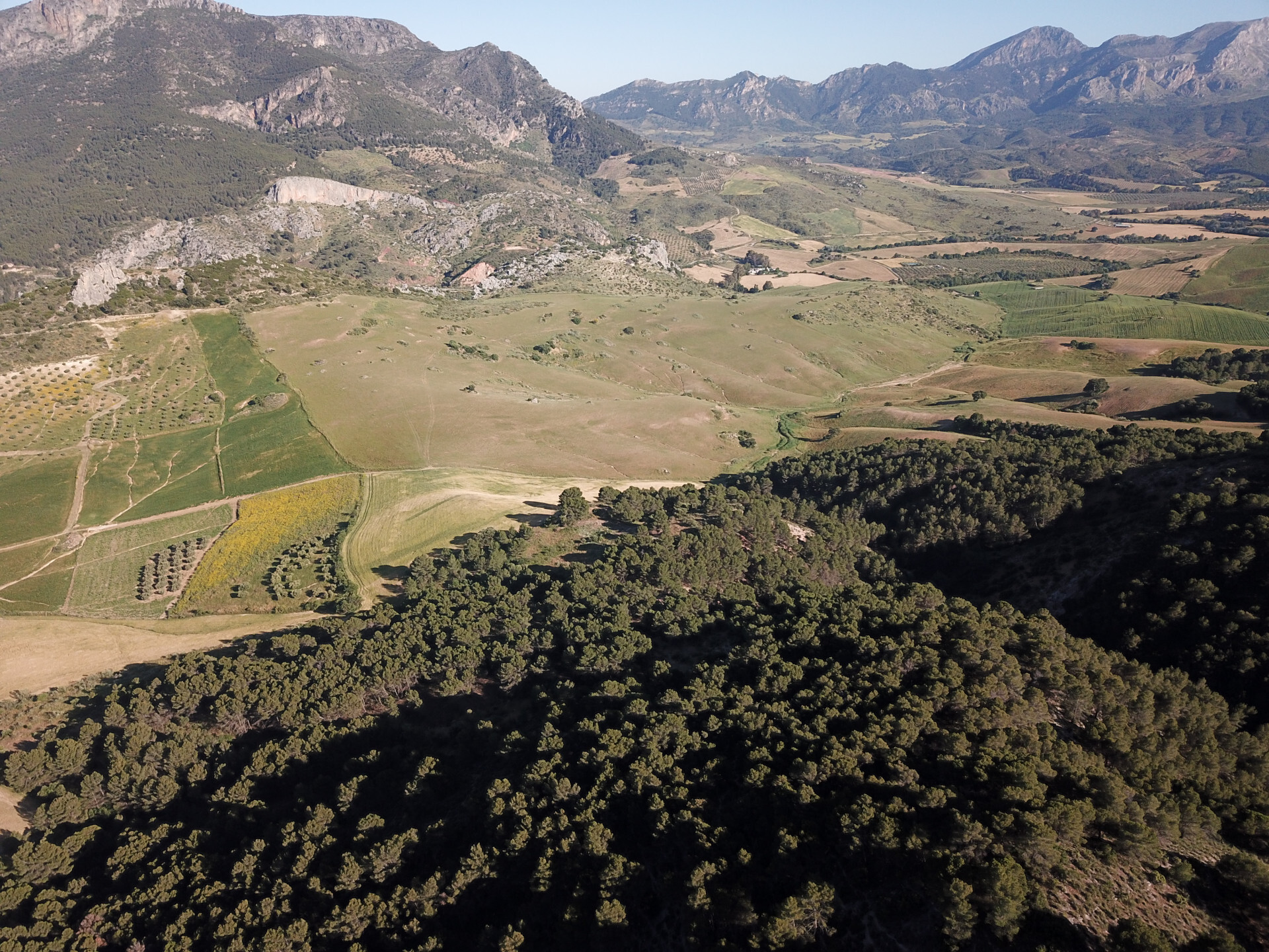 Fincas y solares-Venta-Ardales-2210561-Foto-37