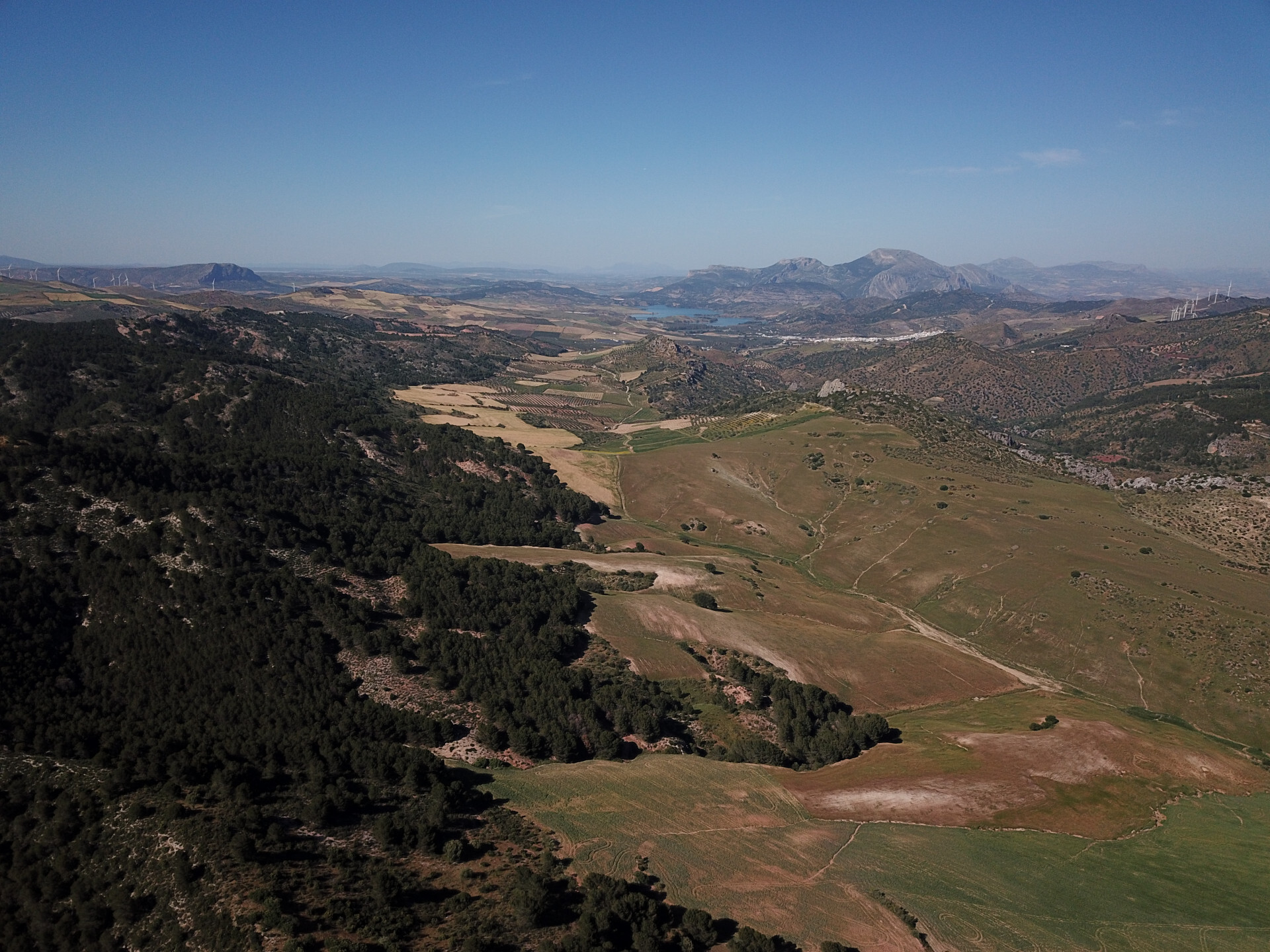 Fincas y solares-Venta-Ardales-2210561-Foto-50
