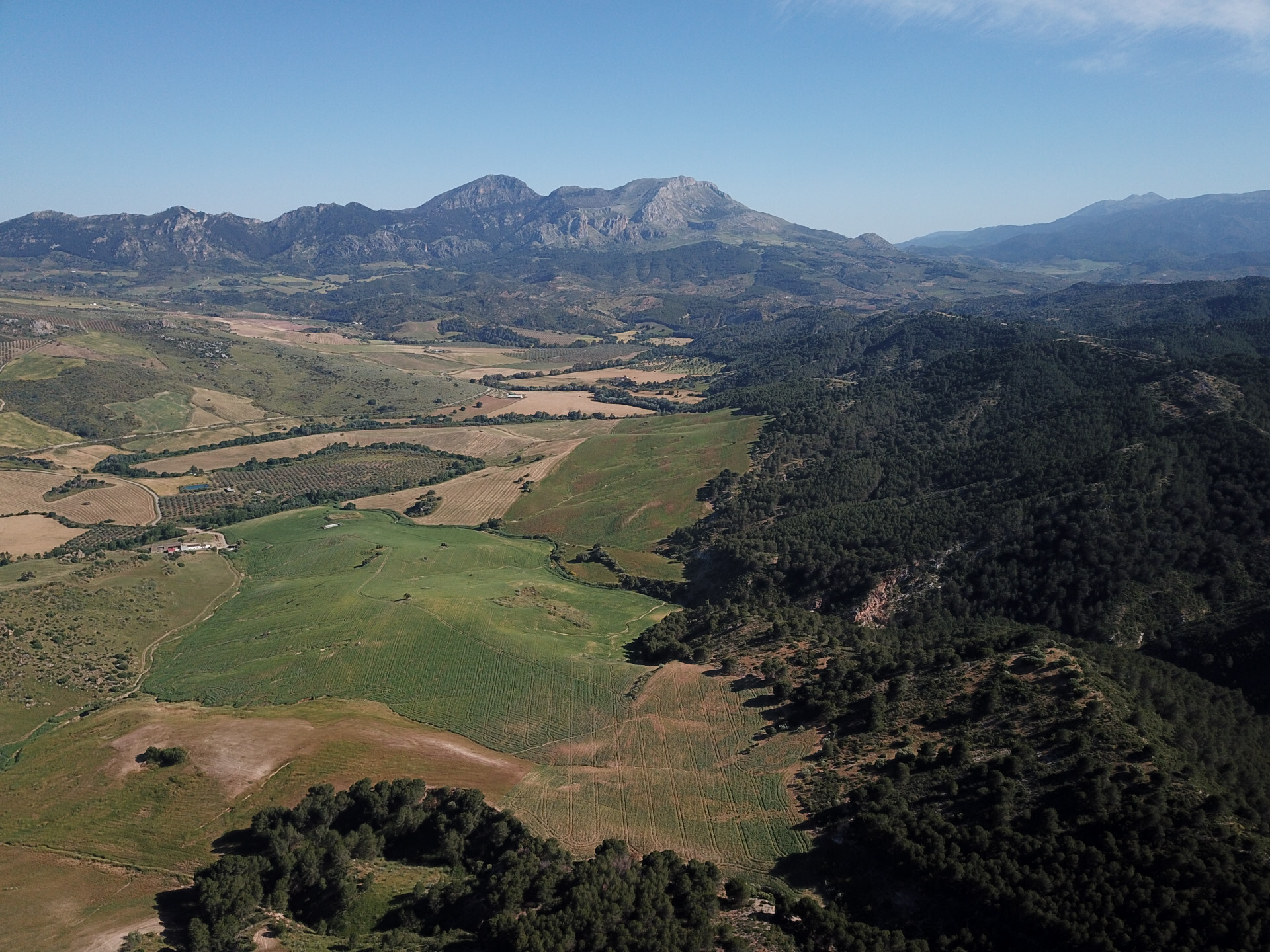Fincas y solares-Venta-Ardales-2210561-Foto-59