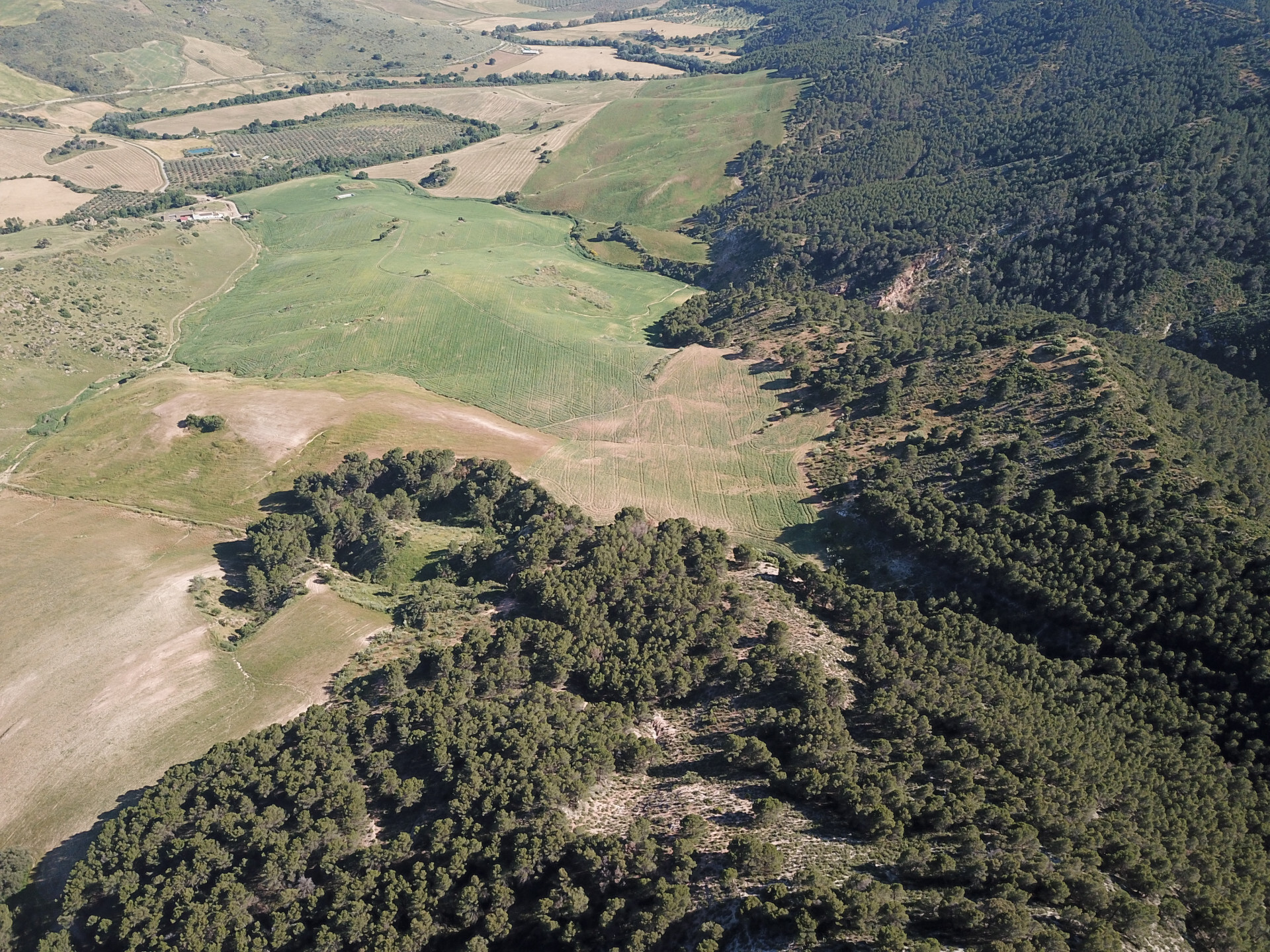 Fincas y solares-Venta-Ardales-2210561-Foto-60