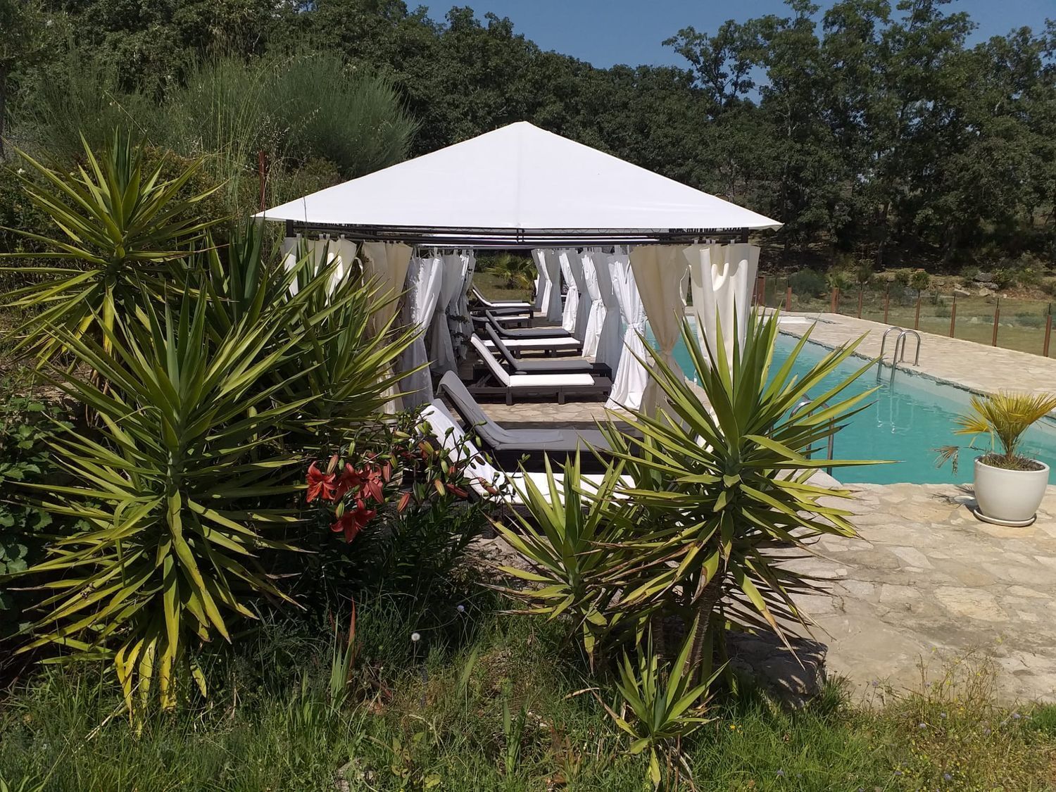 Casas o chalets-Venta-Villamiel-2412545-Foto-4