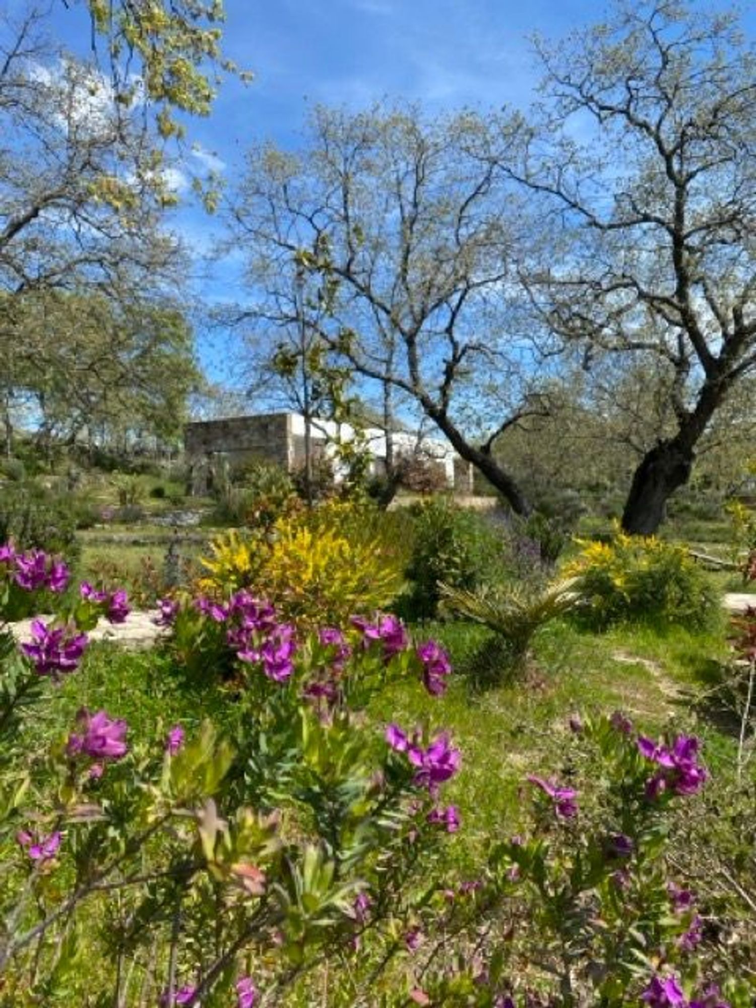 Casas o chalets-Venta-Villamiel-2412545-Foto-7