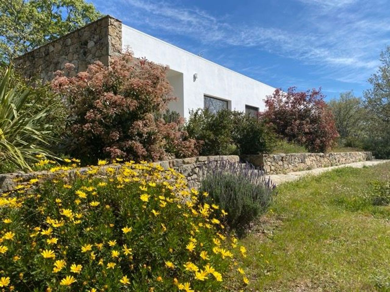 Casas o chalets-Venta-Villamiel-2412545-Foto-6