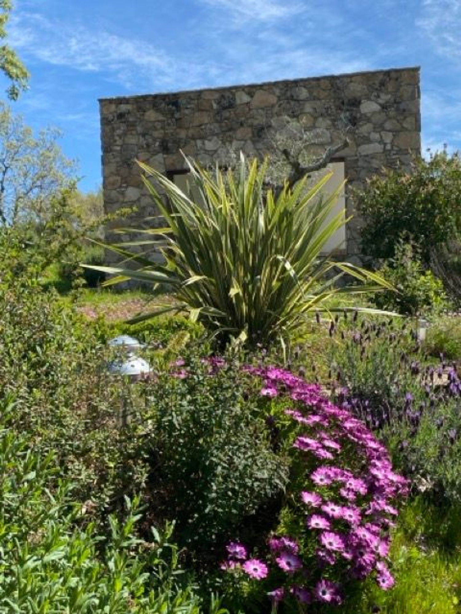 Casas o chalets-Venta-Villamiel-2412545-Foto-10