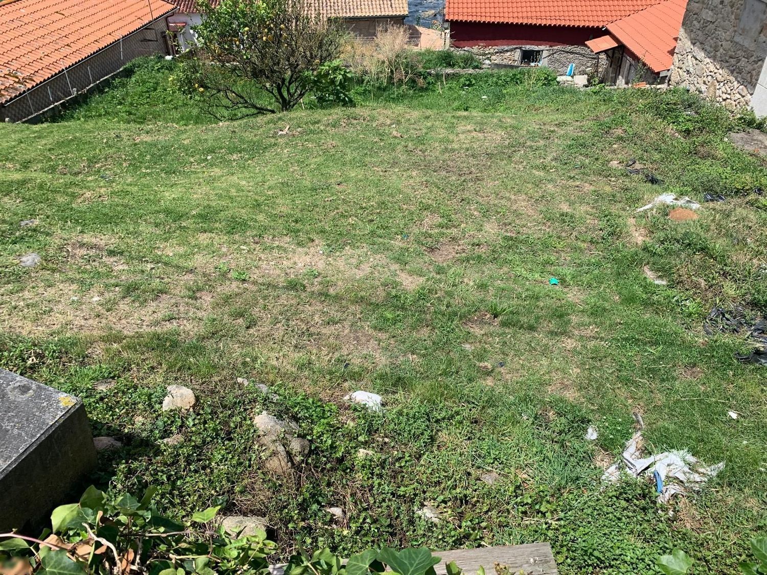 Fincas y solares-Venta-Cabrera d