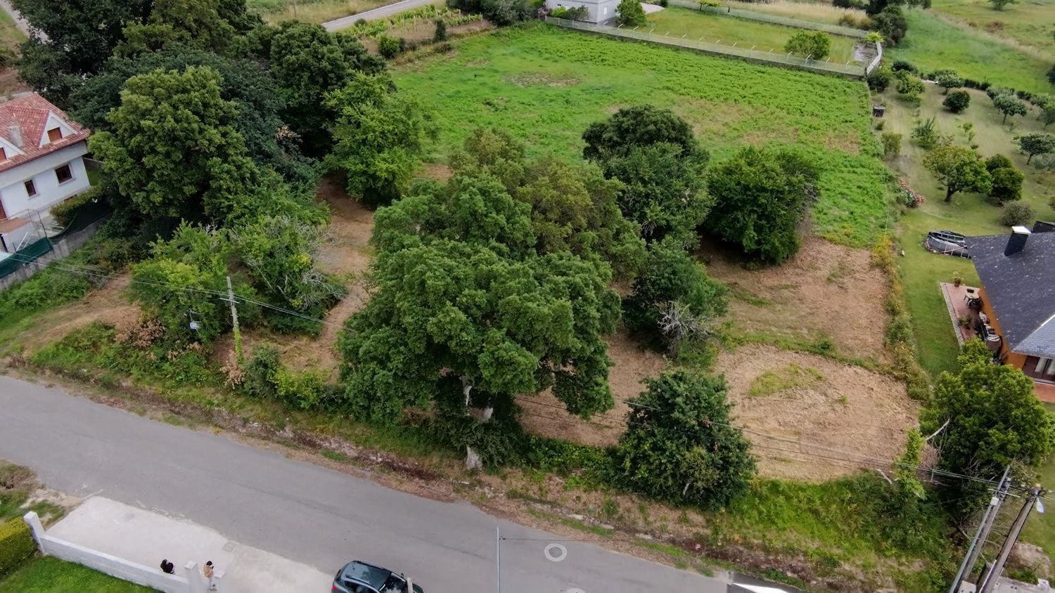 Fincas y solares-Venta-O Rosal-2412416-Foto-2