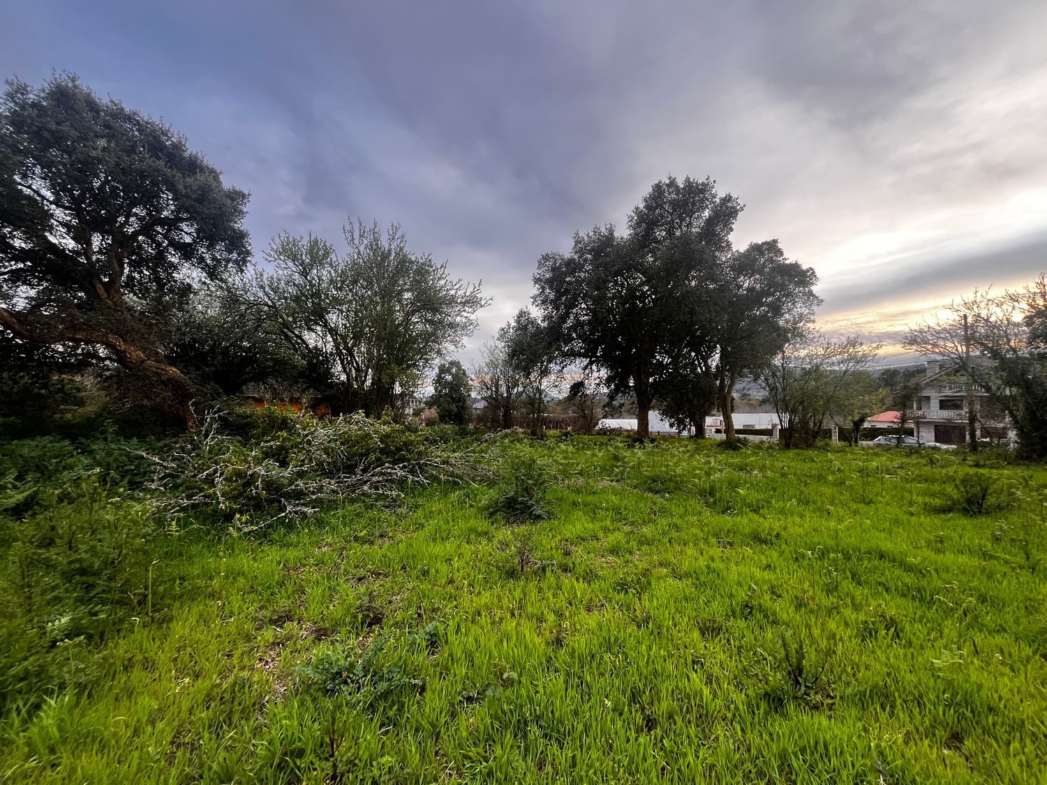 Fincas y solares-Venta-O Rosal-2412416-Foto-16