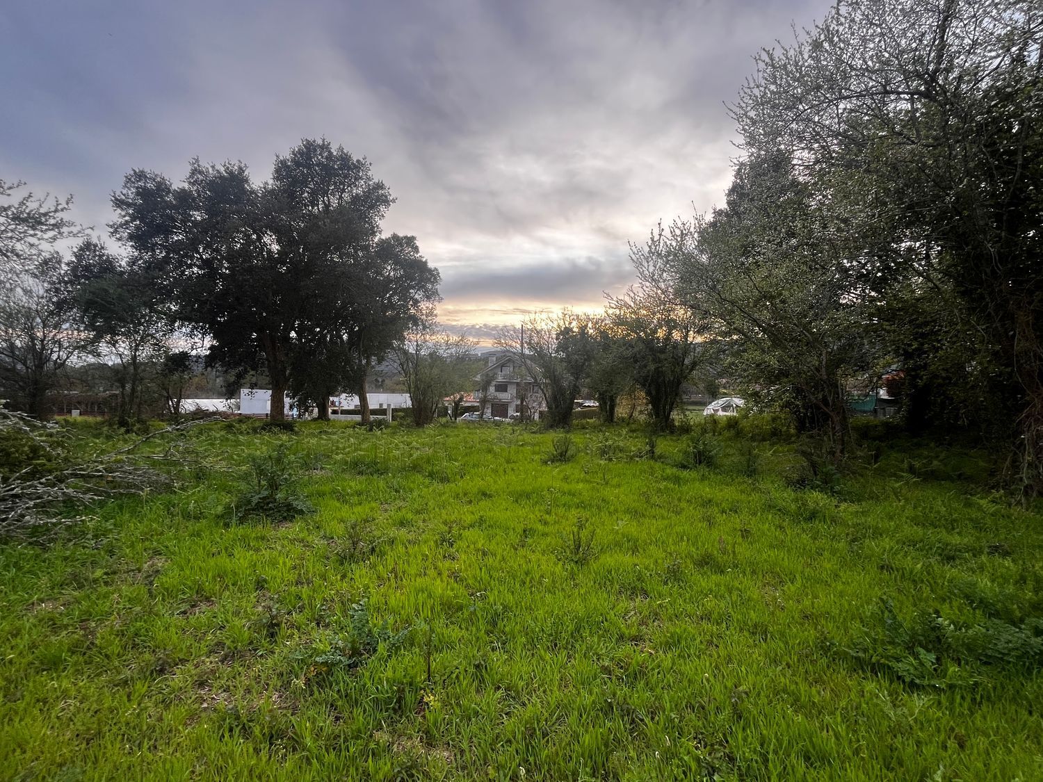 Fincas y solares-Venta-O Rosal-2412416-Foto-15