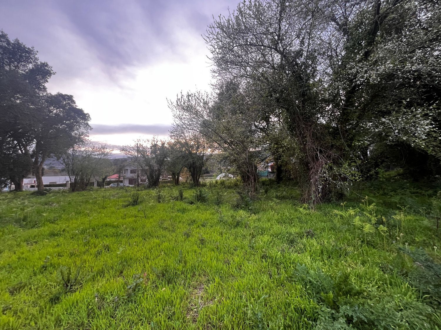 Fincas y solares-Venta-O Rosal-2412416-Foto-17