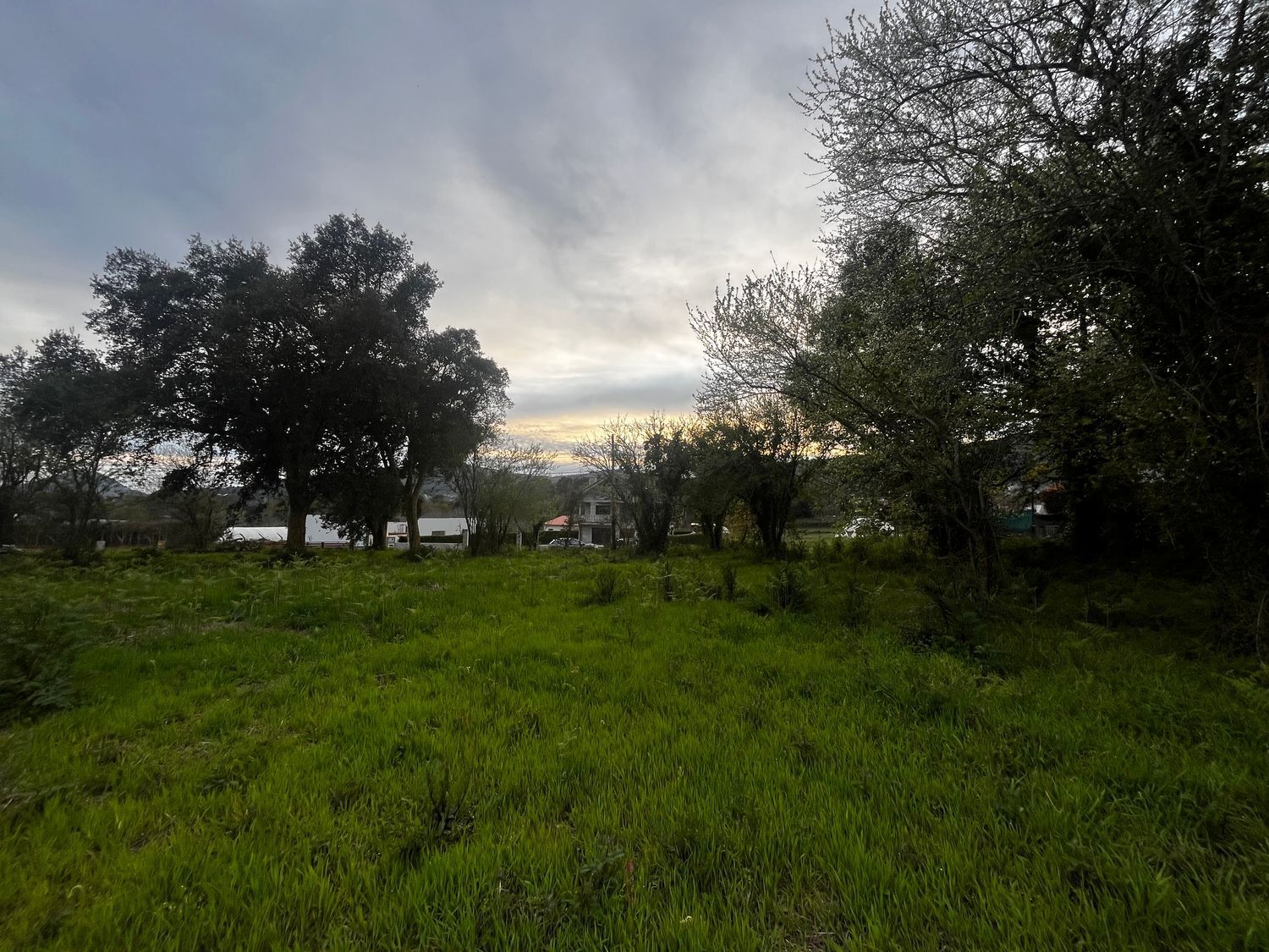 Fincas y solares-Venta-O Rosal-2412416-Foto-13