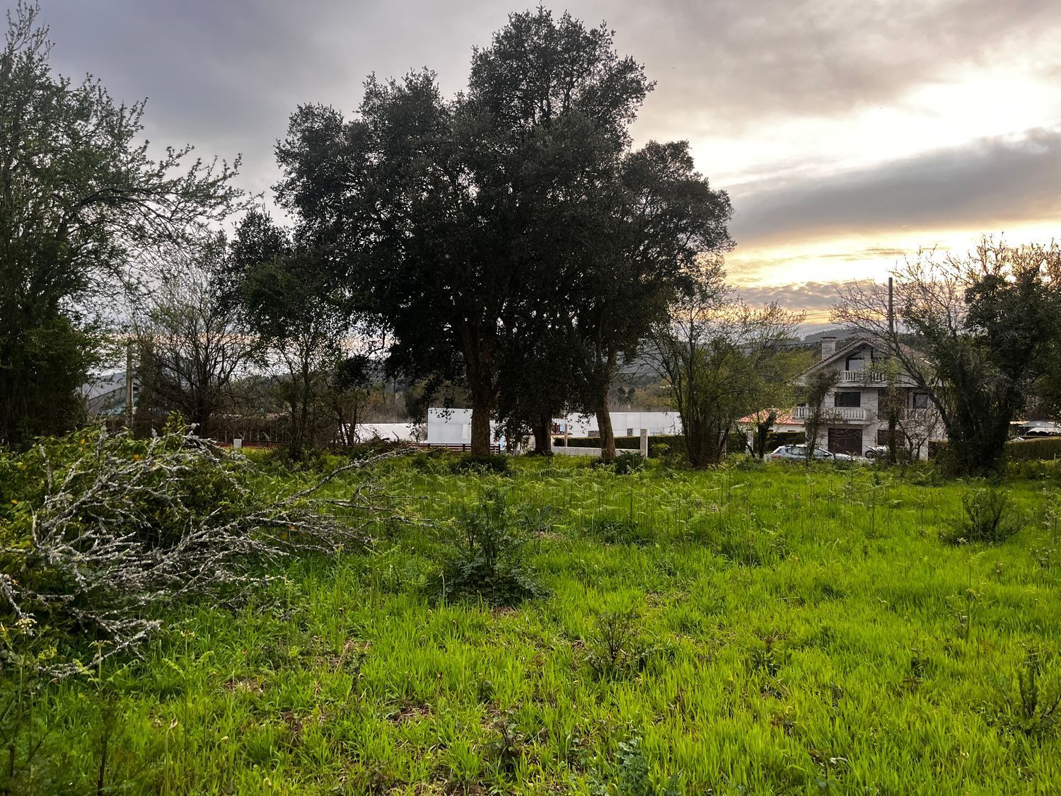 Fincas y solares-Venta-O Rosal-2412416-Foto-14
