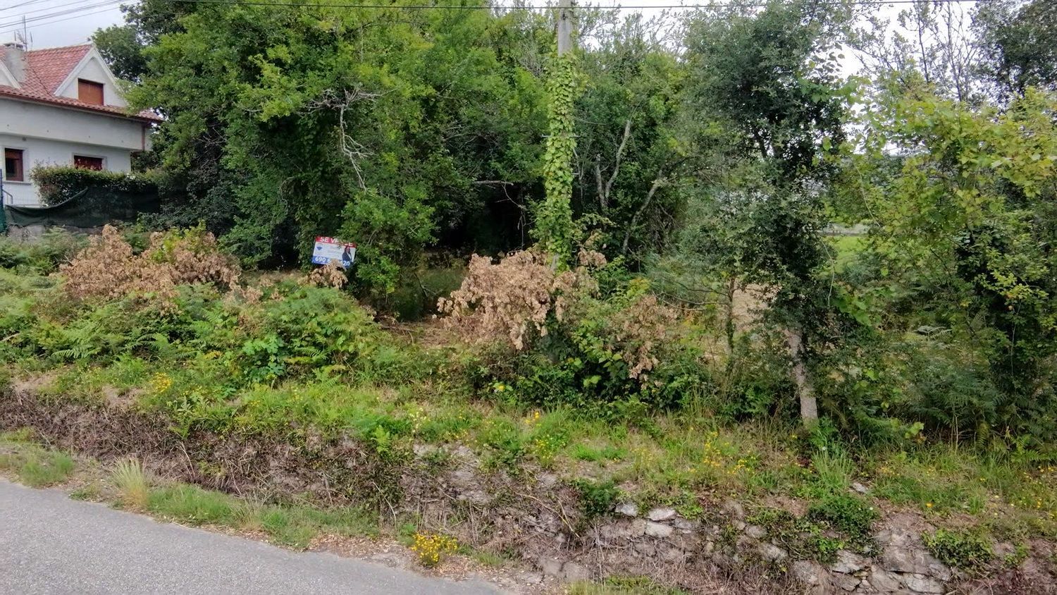 Fincas y solares-Venta-O Rosal-2412416-Foto-18
