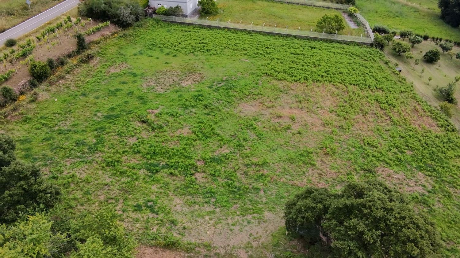 Fincas y solares-Venta-O Rosal-2412416-Foto-21