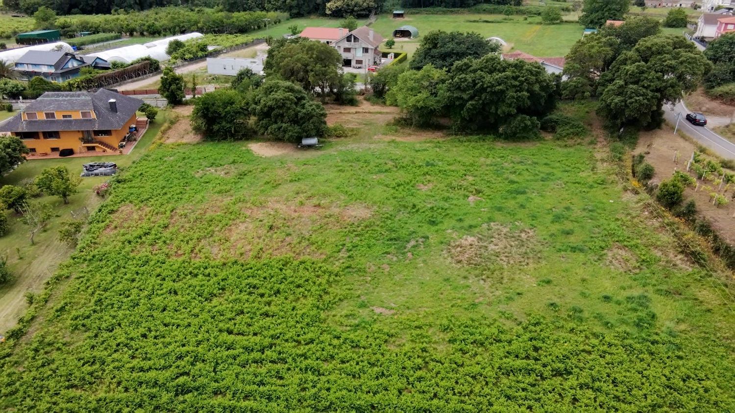 Fincas y solares-Venta-O Rosal-2412416-Foto-22