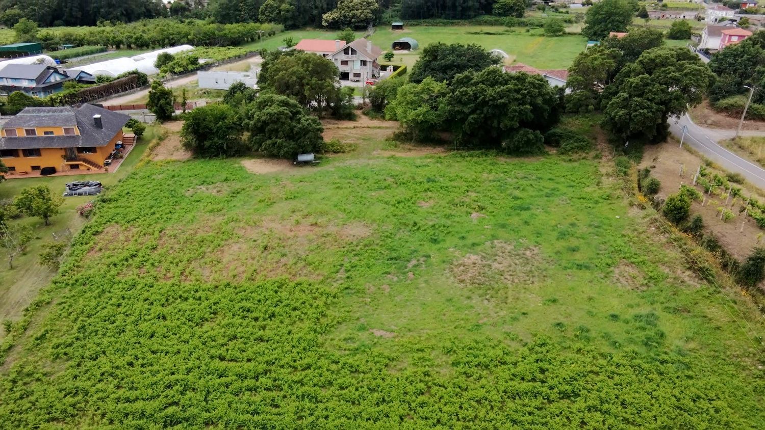Fincas y solares-Venta-O Rosal-2412416-Foto-25