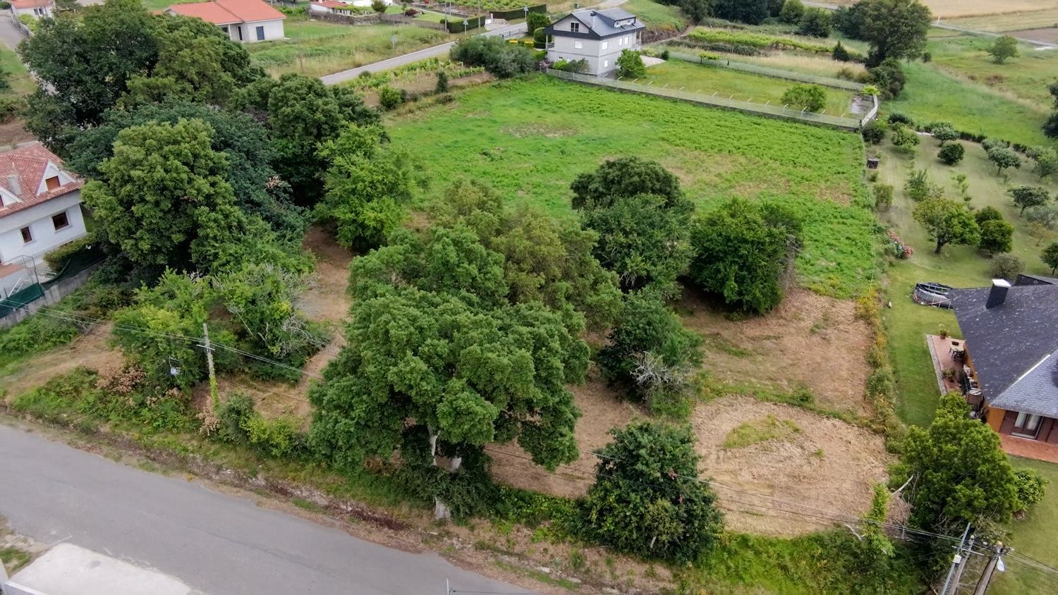 Fincas y solares-Venta-O Rosal-2412416-Foto-24