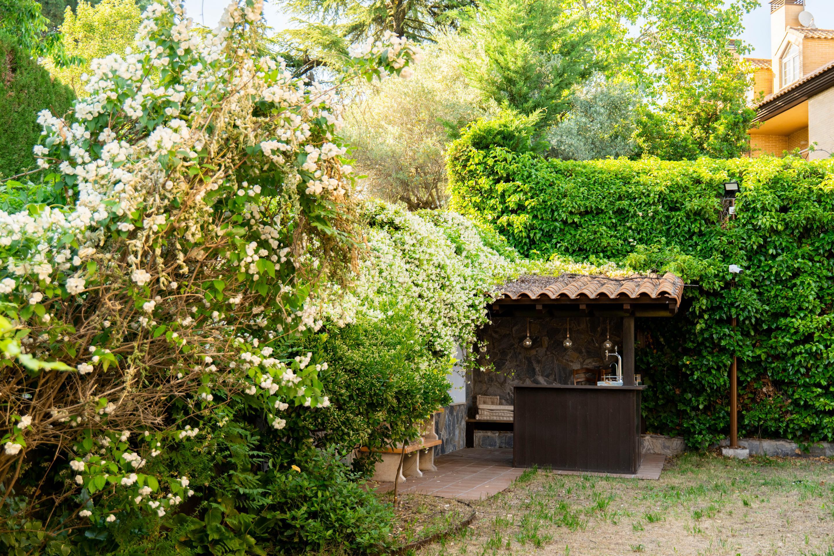 Casas o chalets-Venta-Las Rozas de Madrid-2412809-Foto-30