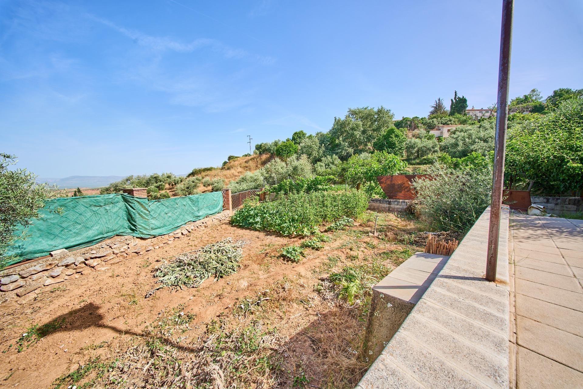 Casas o chalets-Venta-NÃ­var-2414420-Foto-51