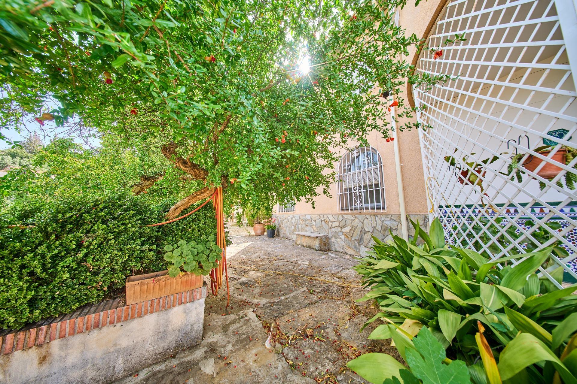 Casas o chalets-Venta-NÃ­var-2414420-Foto-53