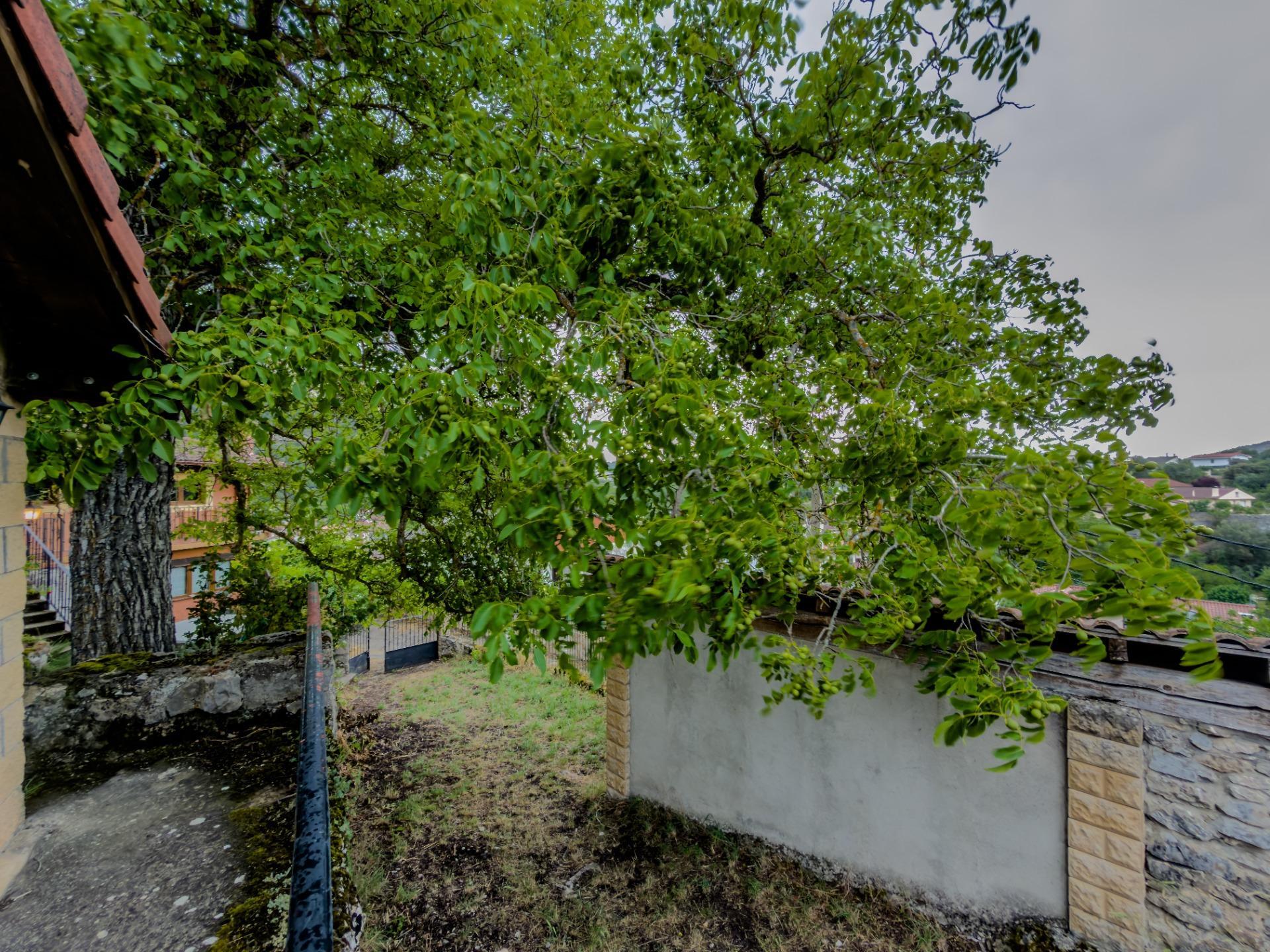 Casas o chalets-Venta-Merindad de Valdeporres-2414321-Foto-57