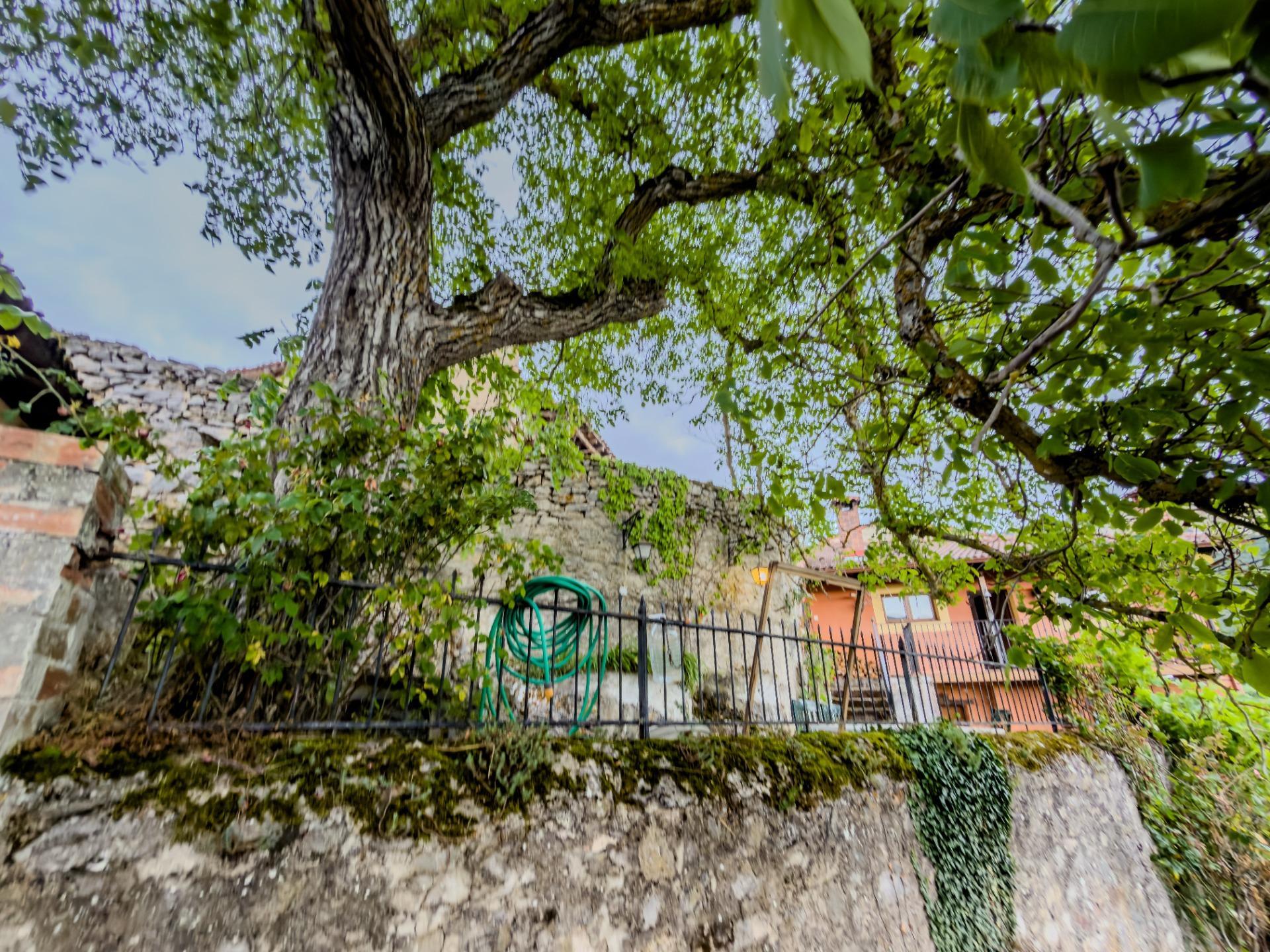 Casas o chalets-Venta-Merindad de Valdeporres-2414321-Foto-65