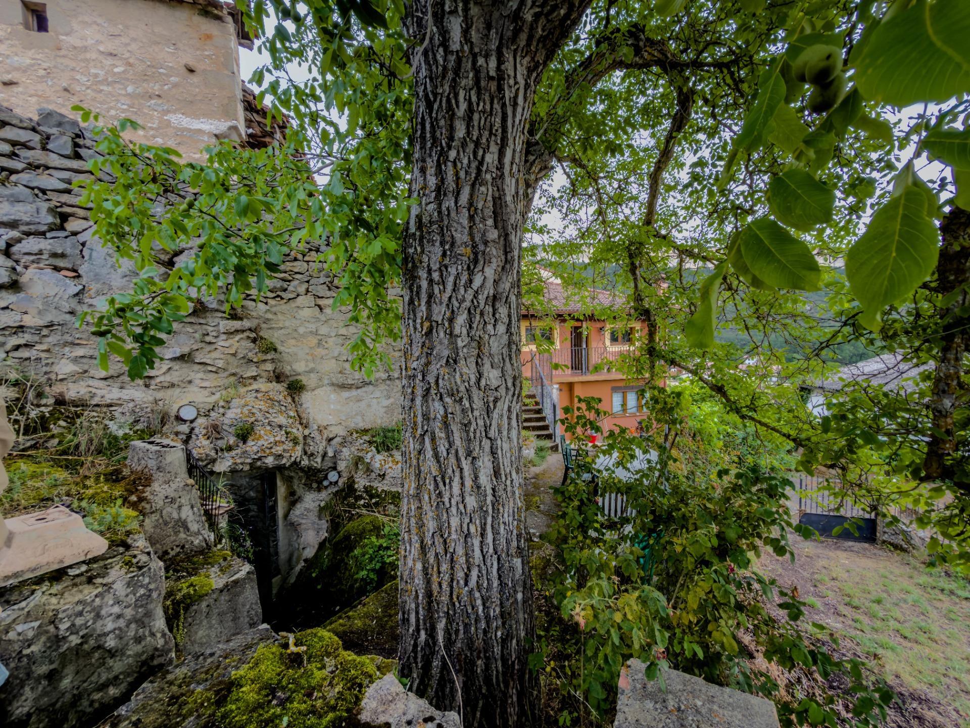 Casas o chalets-Venta-Merindad de Valdeporres-2414321-Foto-81