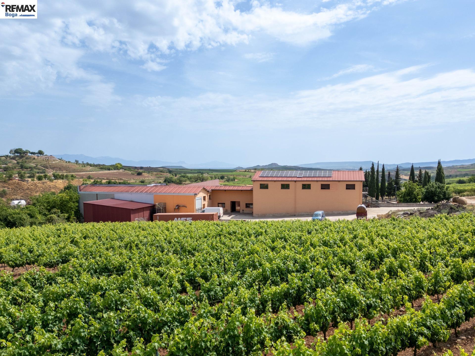 Negocios-Venta-CordovÃ­n-2416484-Foto-5