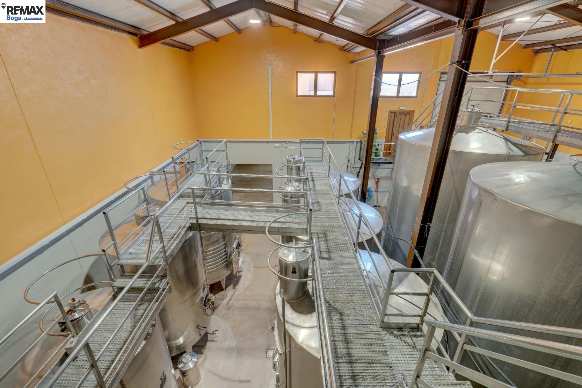 Negocios-Venta-CordovÃ­n-2416484-Foto-9