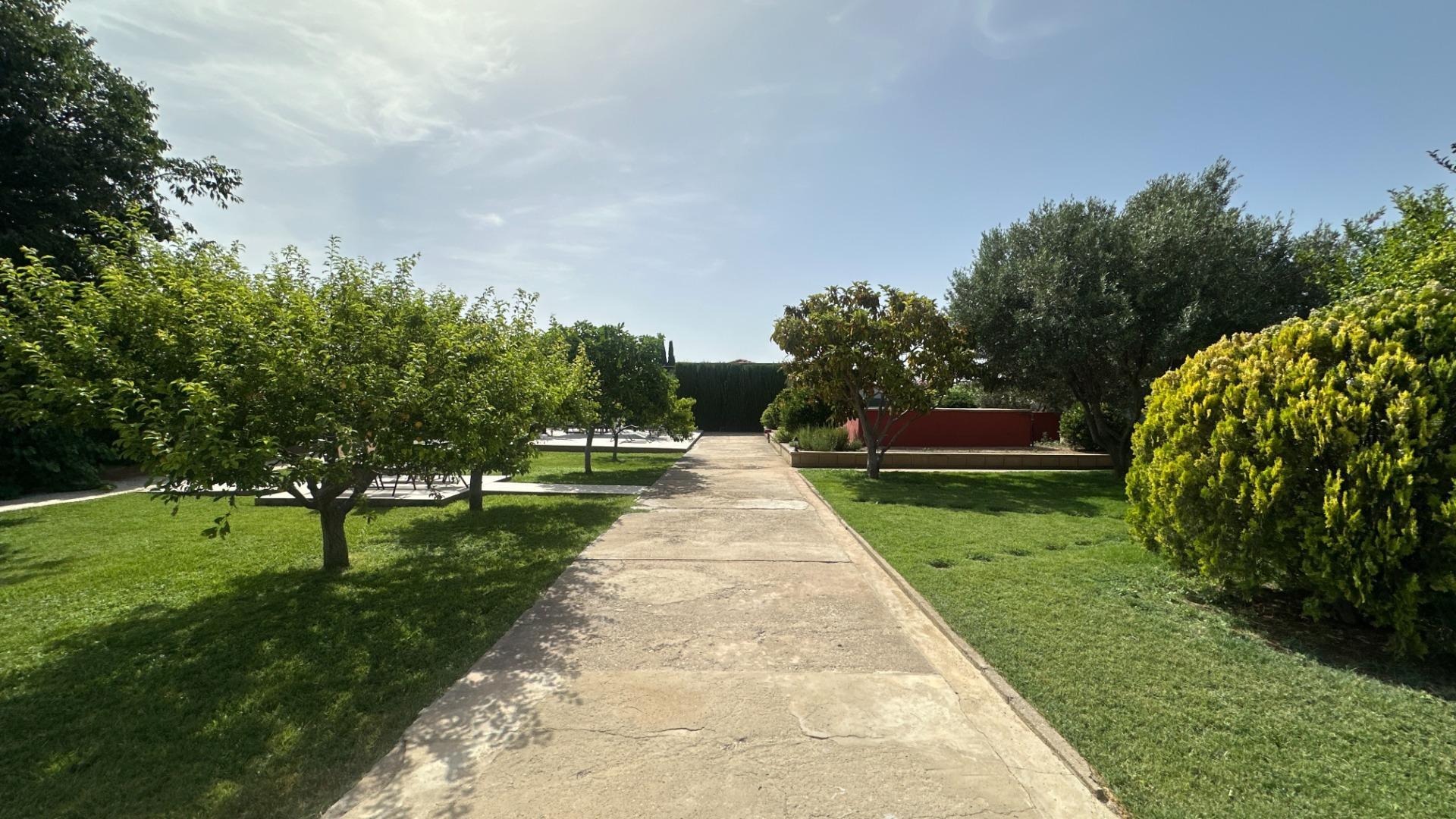 Pisos-Venta-Zaragoza-2415926-Foto-44