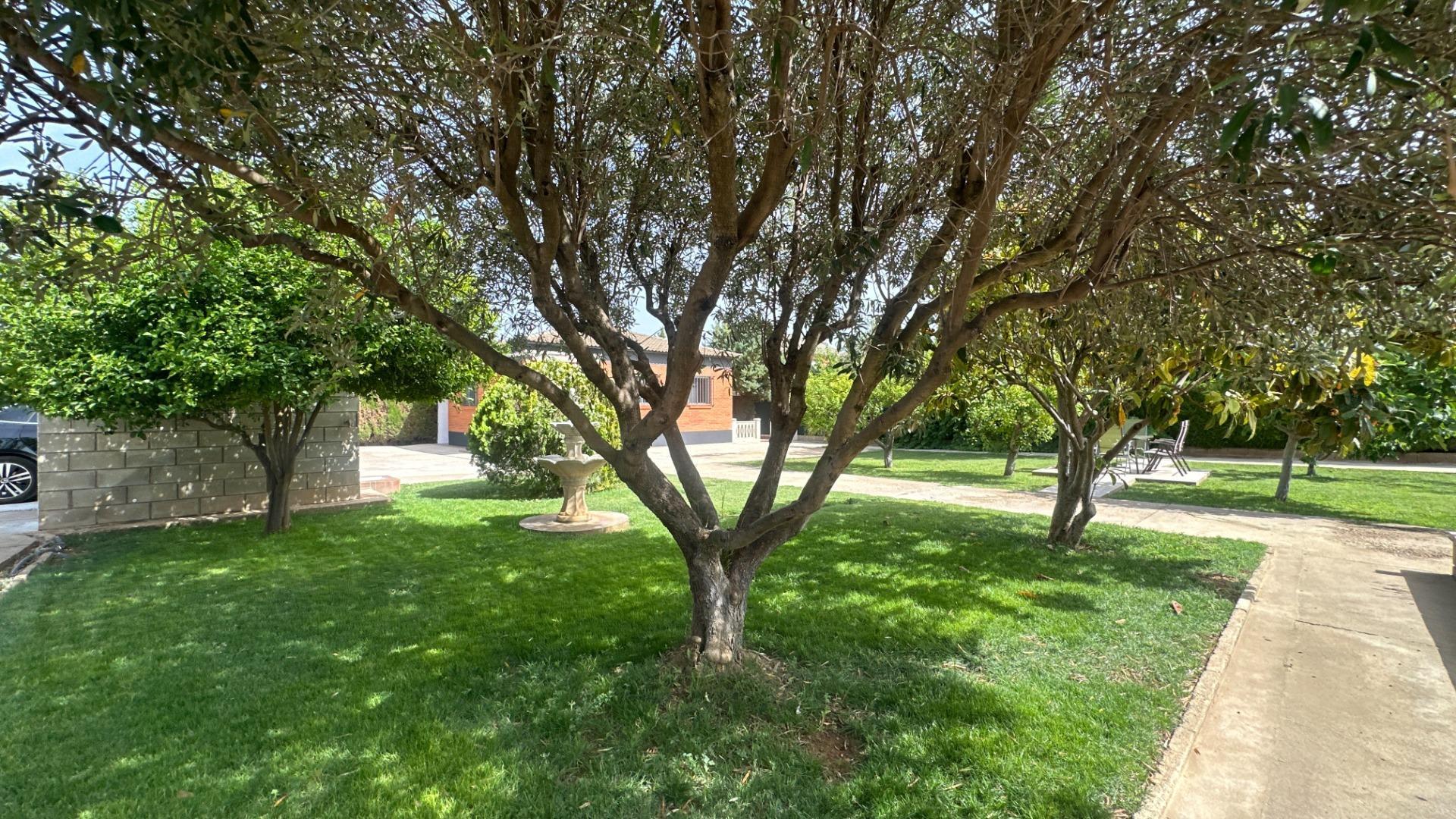 Pisos-Venta-Zaragoza-2415926-Foto-66