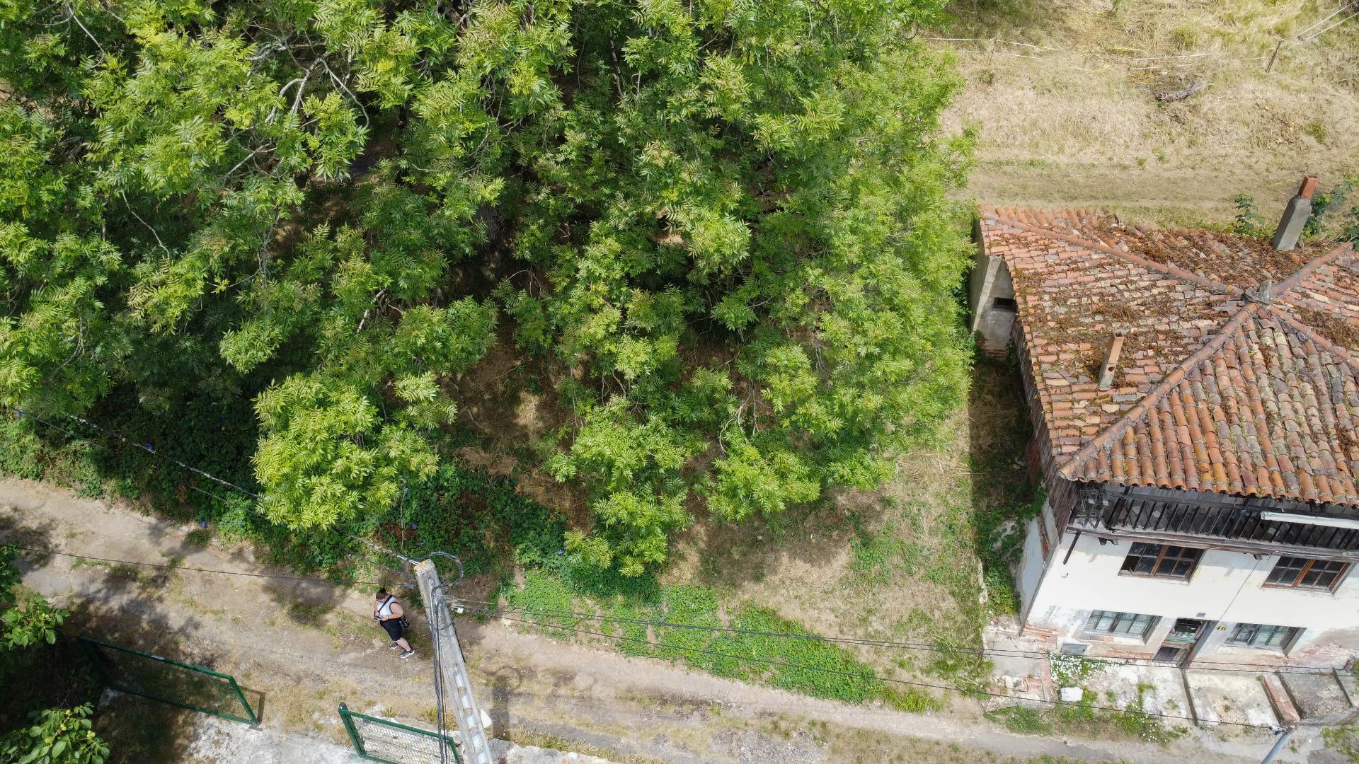 Pisos-Venta-Oviedo-2412074-Foto-29