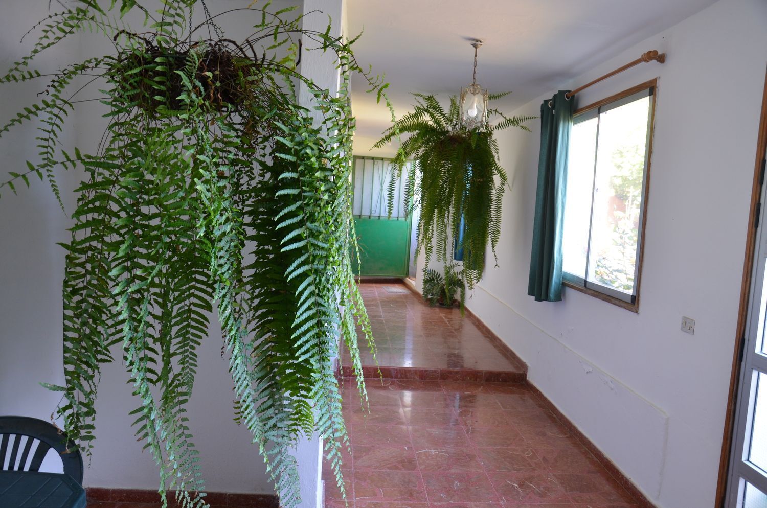 Casas o chalets-Venta-GÃ¡ldar-2412506-Foto-6