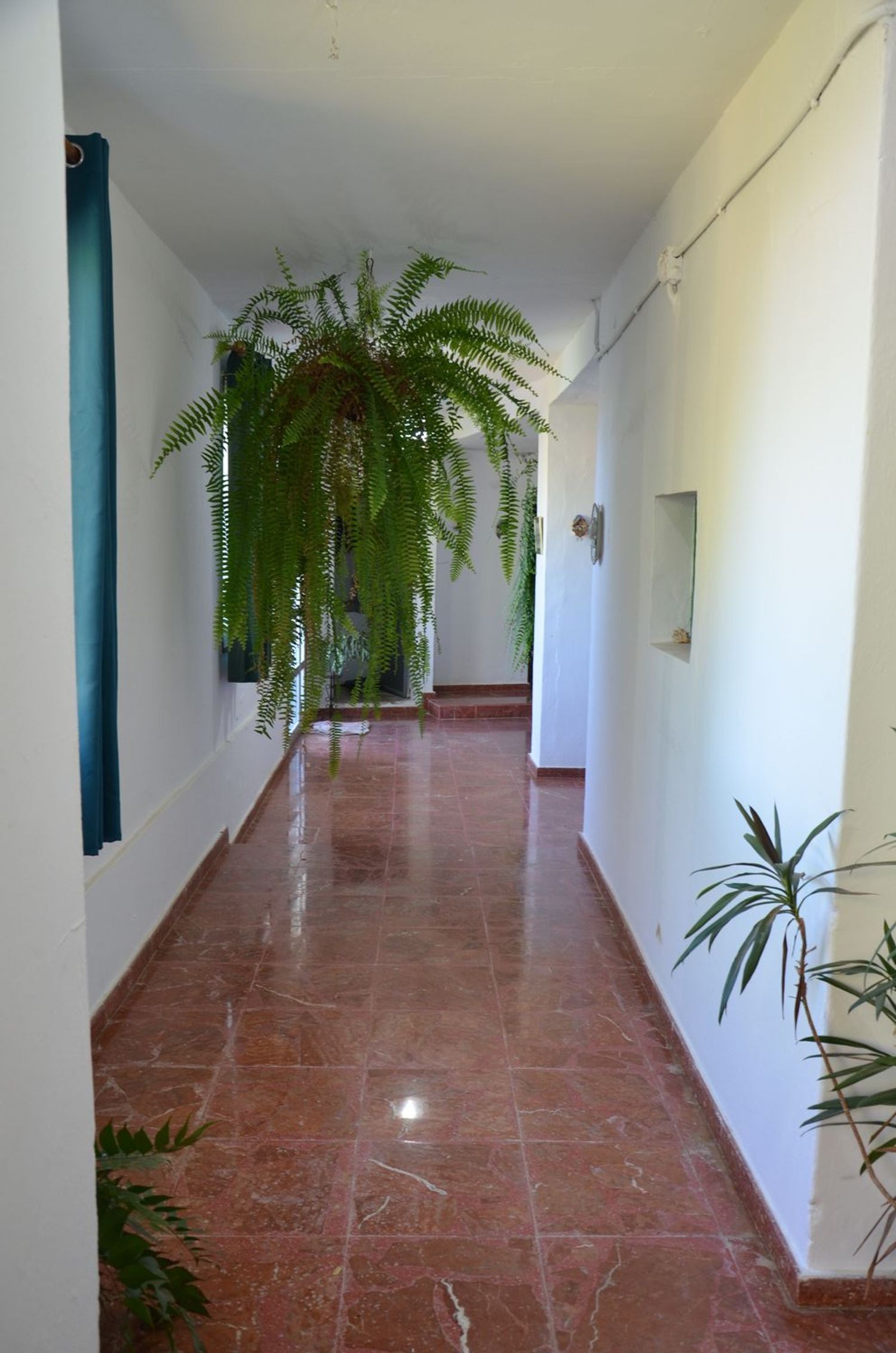 Casas o chalets-Venta-GÃ¡ldar-2412506-Foto-5