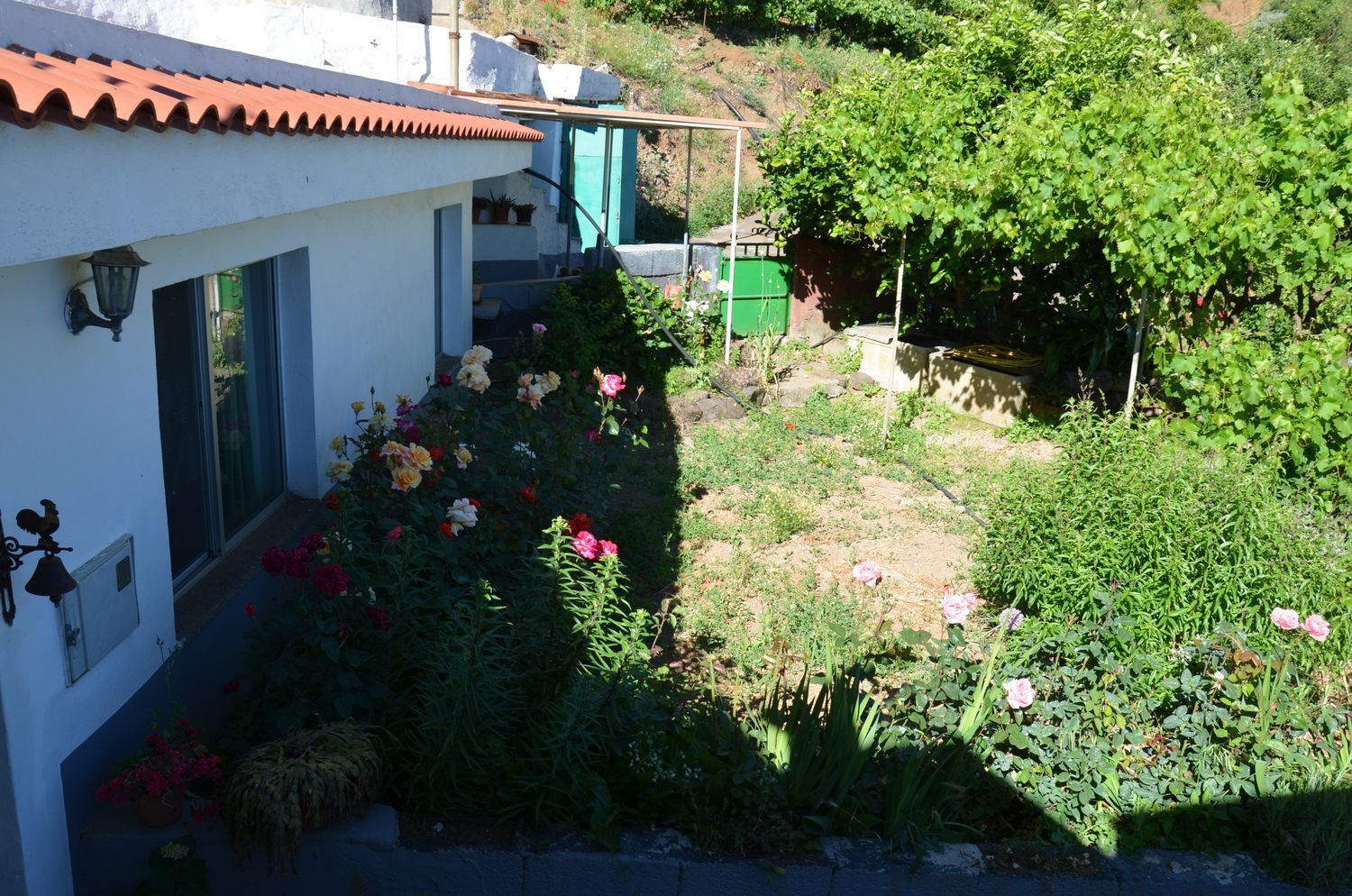 Casas o chalets-Venta-GÃ¡ldar-2412506-Foto-9