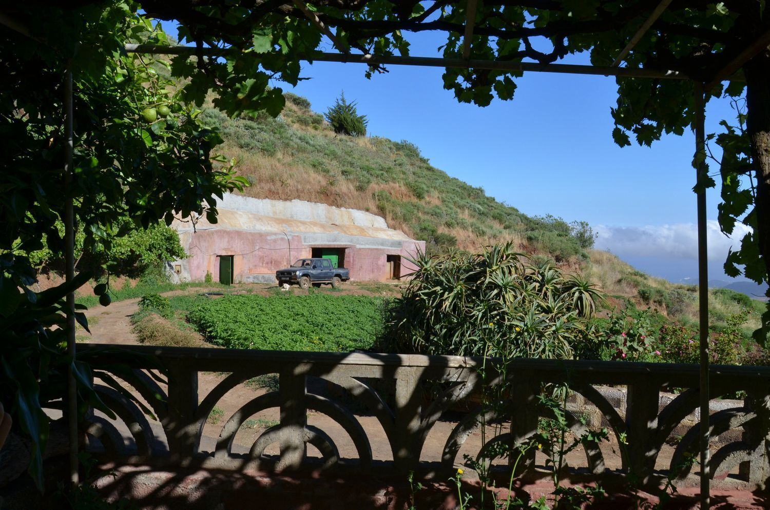 Casas o chalets-Venta-GÃ¡ldar-2412506-Foto-10