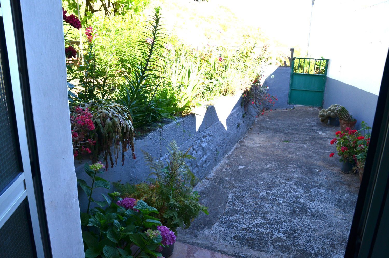 Casas o chalets-Venta-GÃ¡ldar-2412506-Foto-18