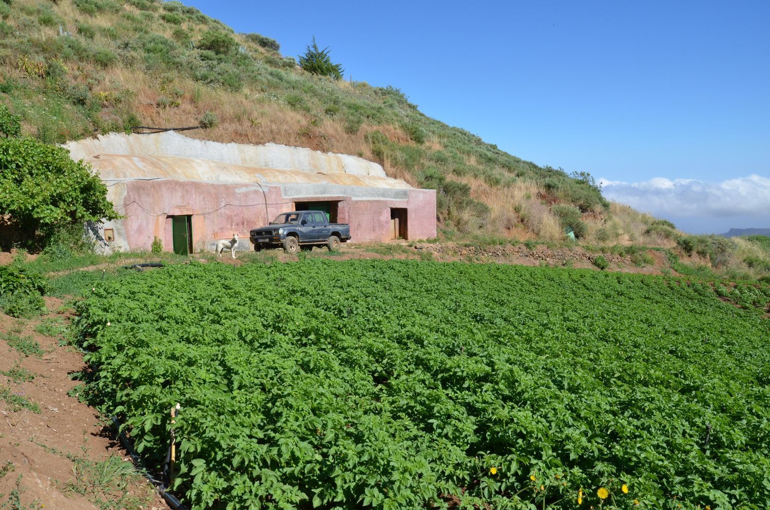 Casas o chalets-Venta-GÃ¡ldar-2412506-Foto-31