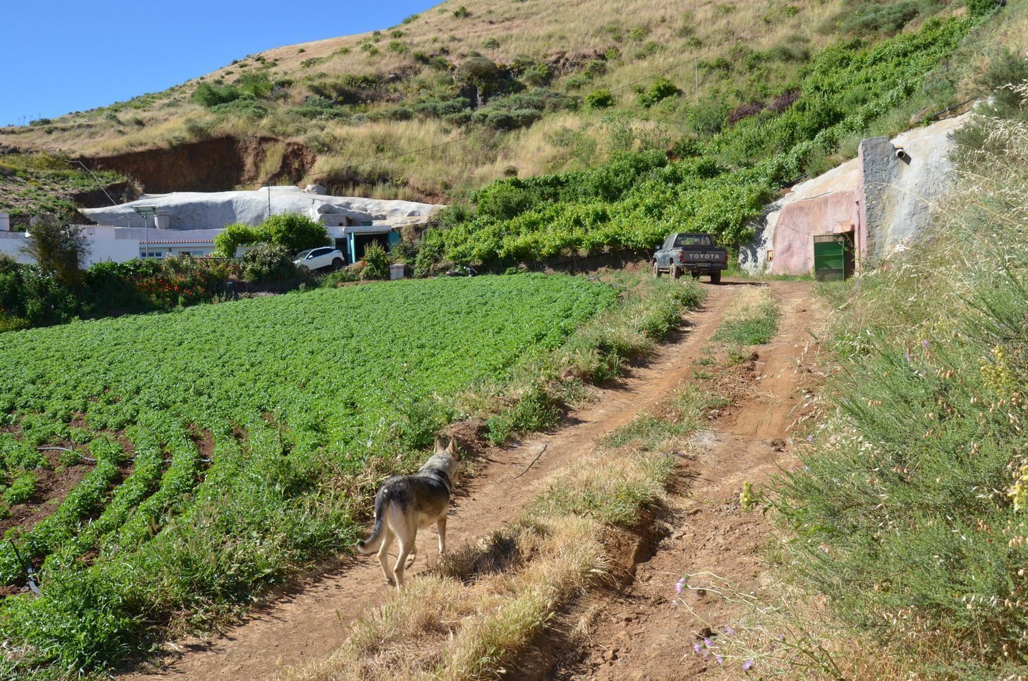 Casas o chalets-Venta-GÃ¡ldar-2412506-Foto-36
