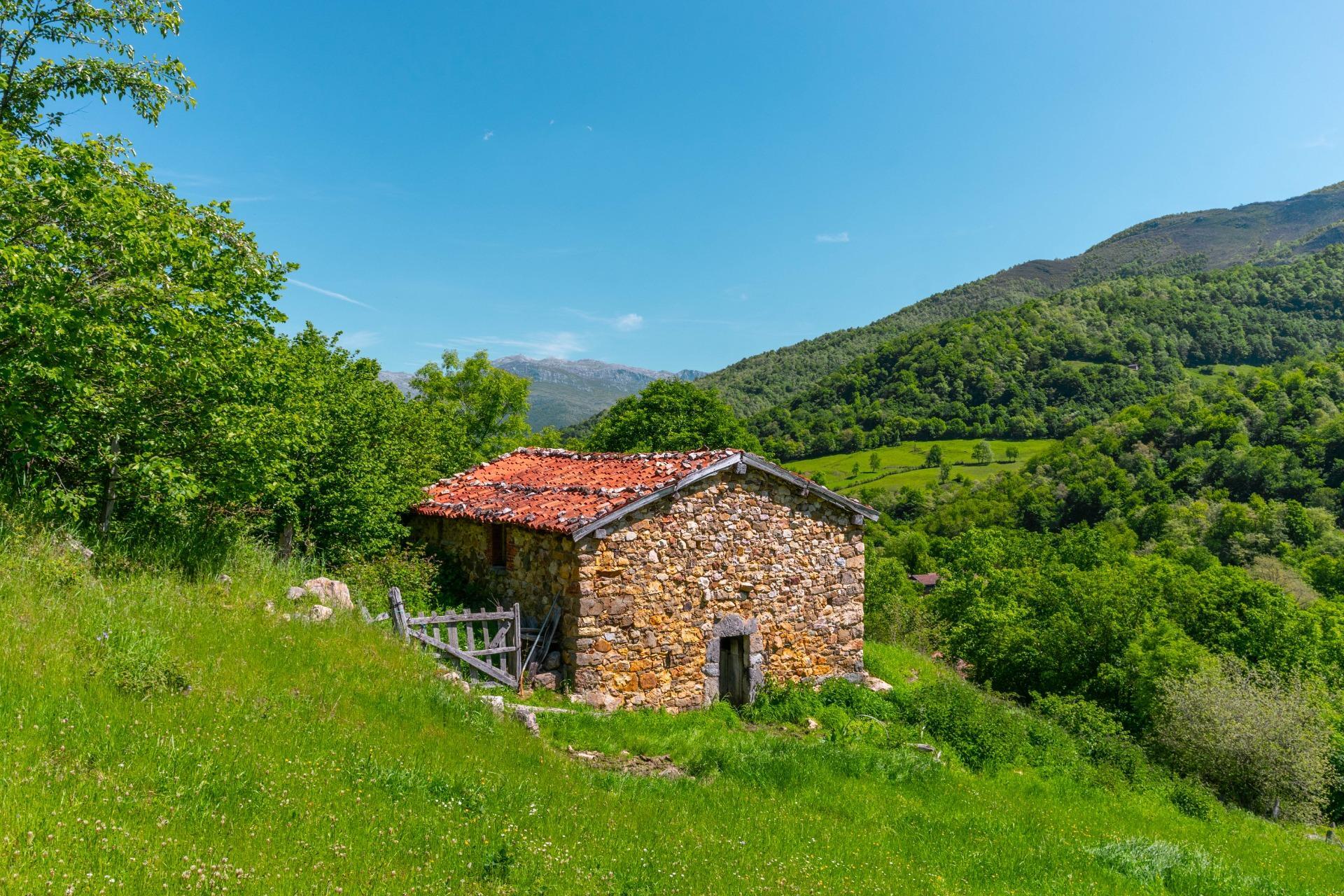 Casas o chalets-Venta-Quirós-2412077