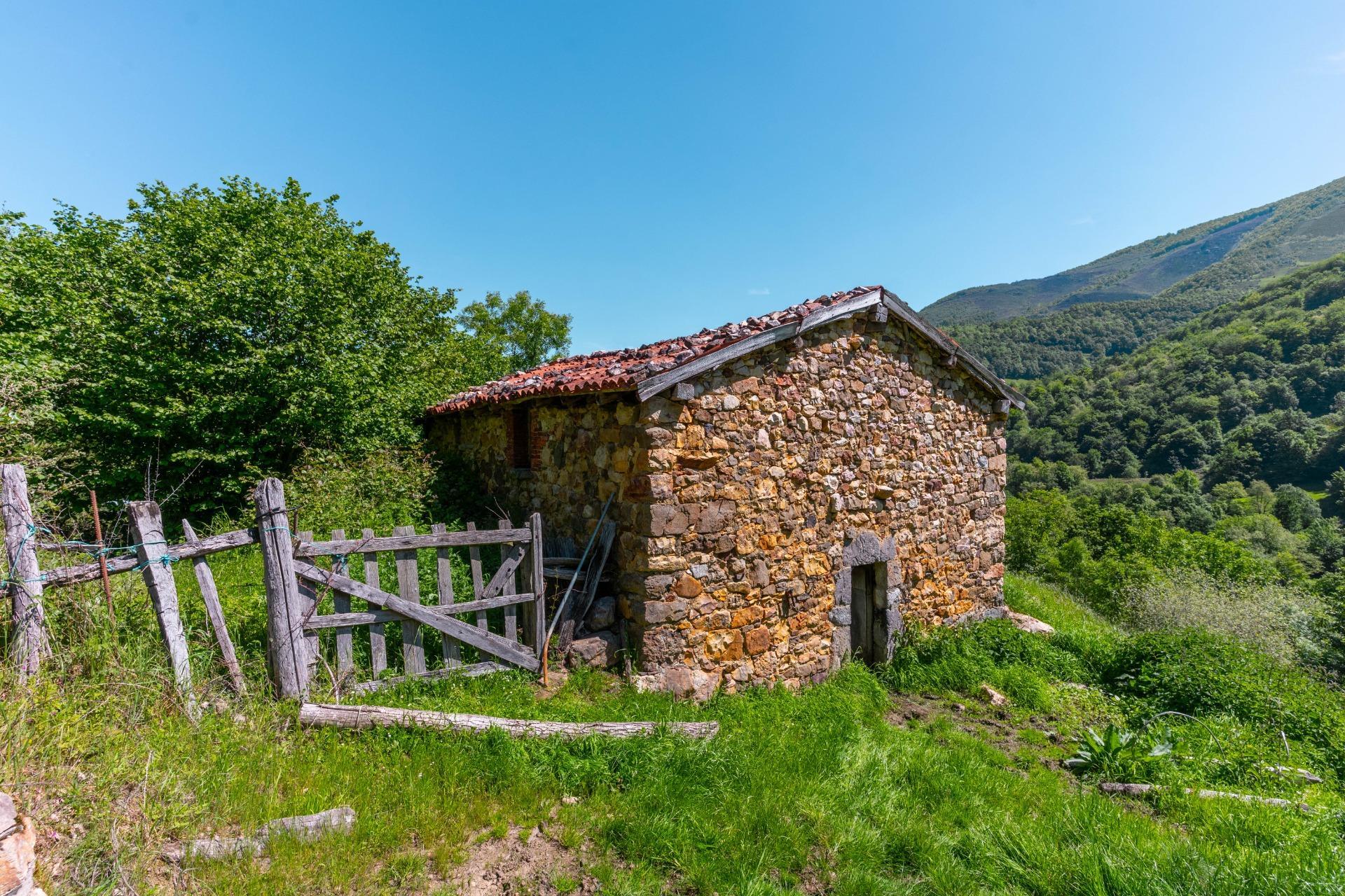 Casas o chalets-Venta-QuirÃ³s-2412077-Foto-2