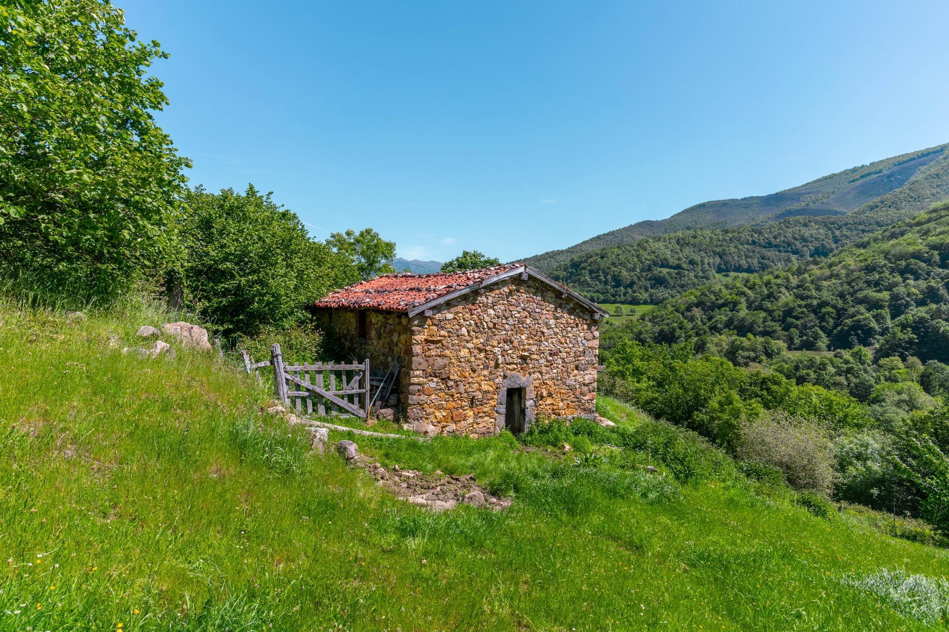 Casas o chalets-Venta-QuirÃ³s-2412077-Foto-3