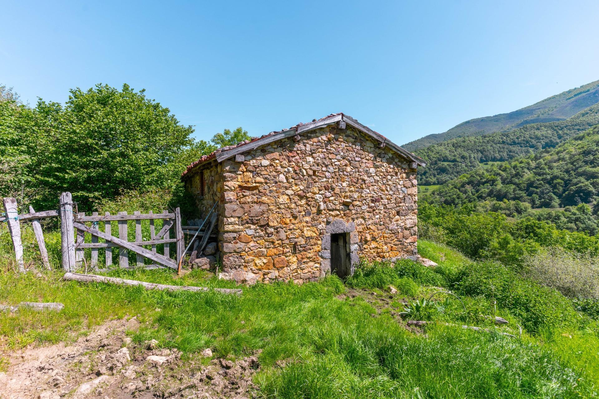 Casas o chalets-Venta-QuirÃ³s-2412077-Foto-4